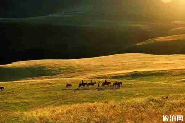 秋季內蒙古草原自駕游線路推薦