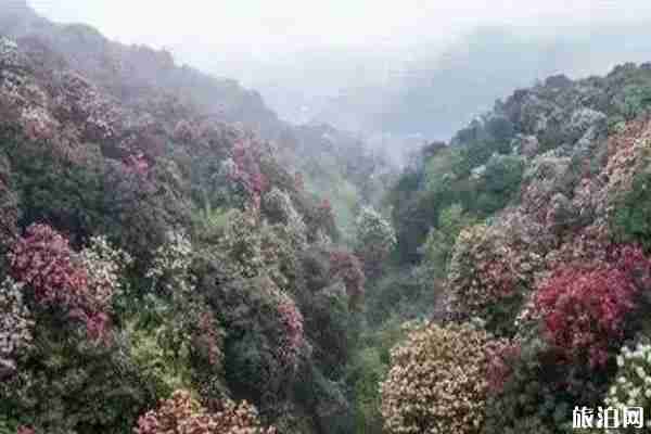 我在未來等你取景地點介紹+旅游攻略