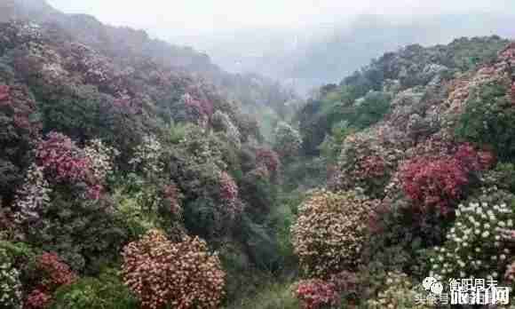 我在未來等你取景地點介紹+旅游攻略