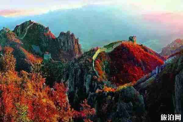 秦皇島賞楓葉去哪里