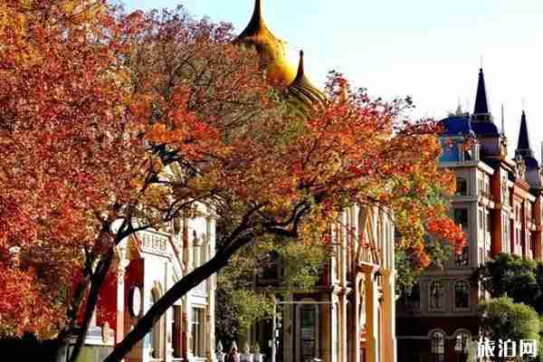 秦皇島賞楓葉去哪里