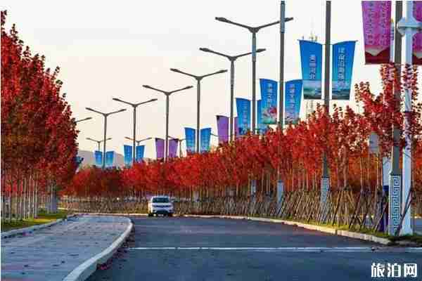 秦皇島賞楓葉去哪里