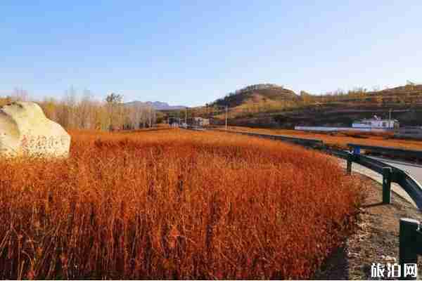 秦皇島賞楓葉去哪里