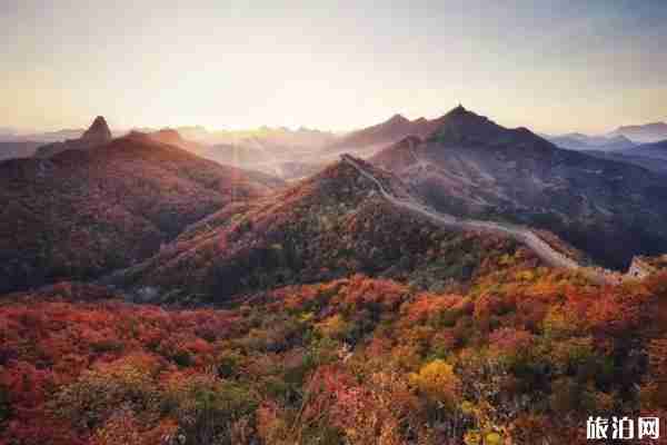 秦皇島賞楓葉去哪里