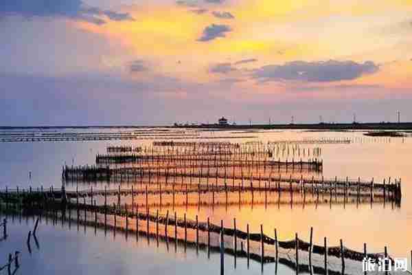 十一陵水哪里好玩 十一陵水哪里好玩