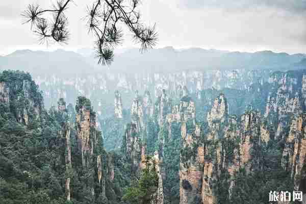 张家界旅游特产有哪些 购物指南