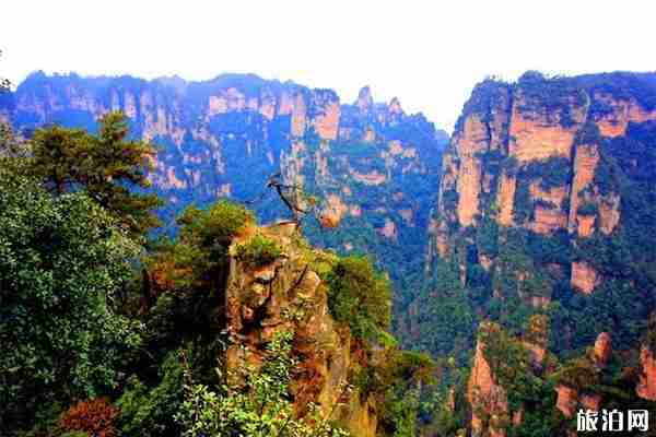 武陵源核心景區有哪些 門票多少錢