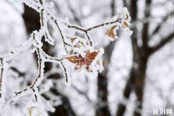 代欽塔拉有什么好玩的