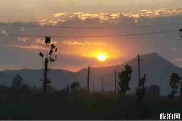 2019河南菊花節在哪個城市+是什么時候+亮點 2019河南菊花節在哪個城市+是什么時候+亮點