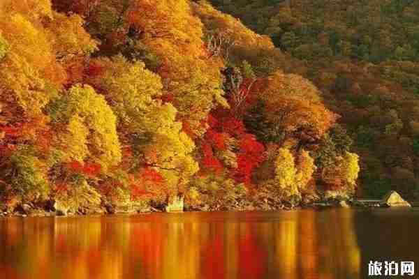 成都周邊紅葉景點有哪些