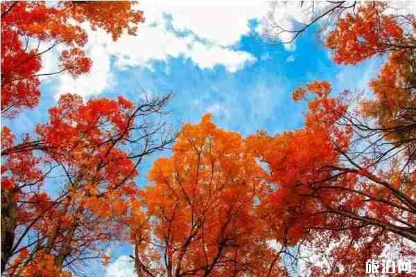 成都周邊紅葉景點有哪些