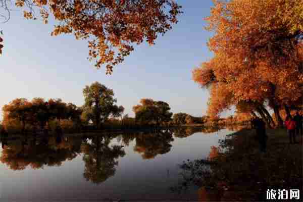 額濟納國慶游玩攻略 怎么玩+住宿+氣候 額濟納國慶游玩攻略 怎么玩+住宿+氣候