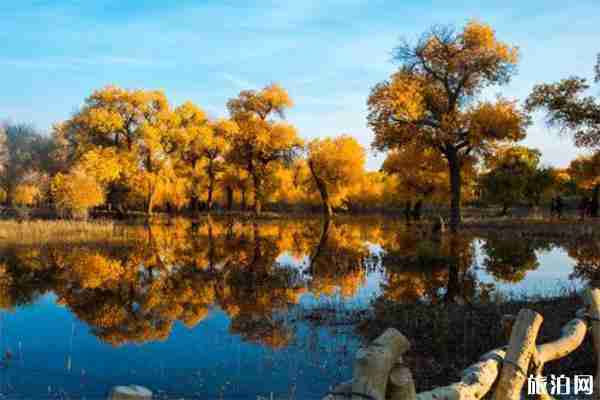 額濟納國慶游玩攻略 怎么玩+住宿+氣候 額濟納國慶游玩攻略 怎么玩+住宿+氣候