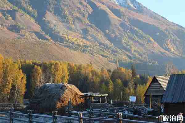 禾木一日游路线攻略+摄影指南 禾木一日游路线攻略+摄影指南
