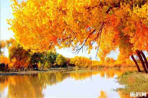 新疆有哪些秋季绝美胡杨林 新疆有哪些秋季绝美胡杨林