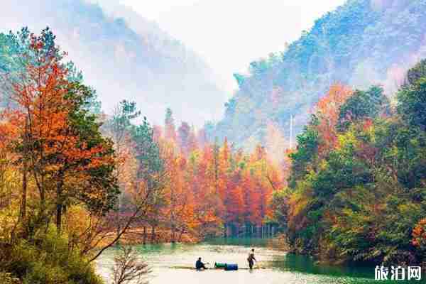 浙江红叶哪里最好看 浙江红叶哪里最好看