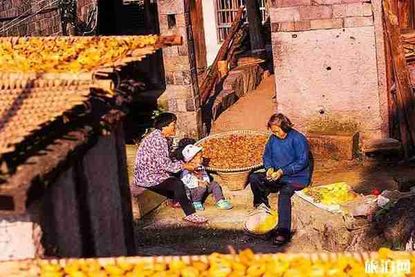 浙江红叶哪里最好看 浙江红叶哪里最好看