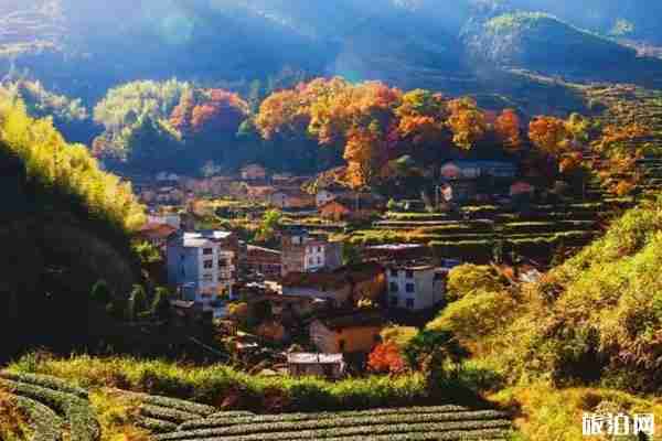 浙江红叶哪里最好看 浙江红叶哪里最好看