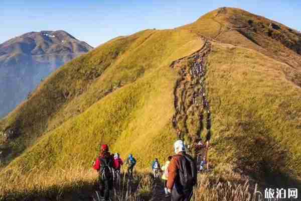 江西秋天旅游景点介绍 江西秋天旅游景点介绍