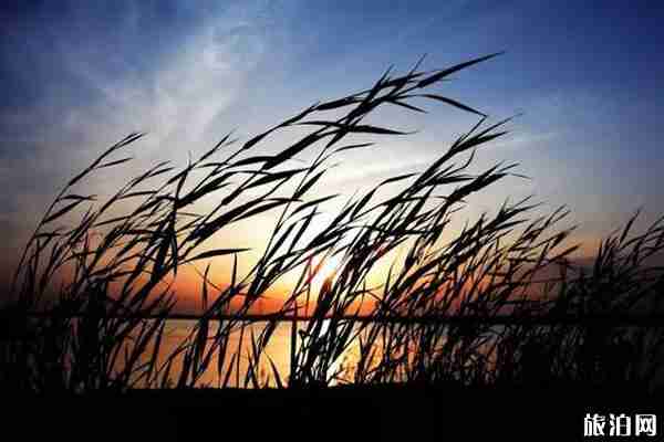 江西秋天旅游景点介绍 江西秋天旅游景点介绍