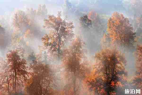 江西秋天旅游景点介绍 江西秋天旅游景点介绍