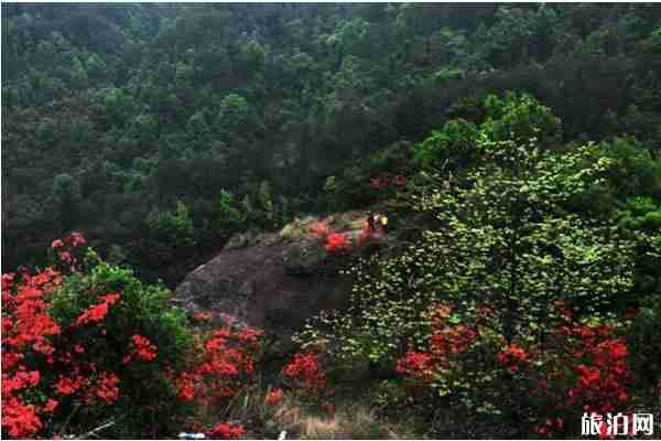 南雄秋天旅游景点推荐