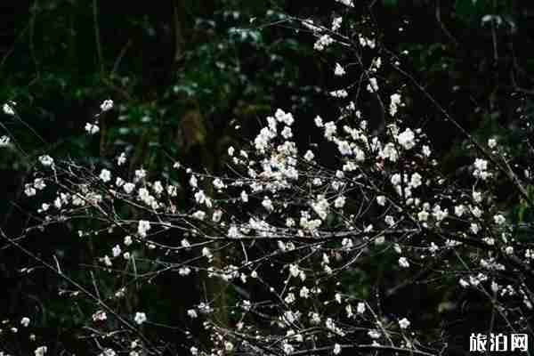 南雄秋天旅游景点推荐 南雄秋天旅游景点推荐