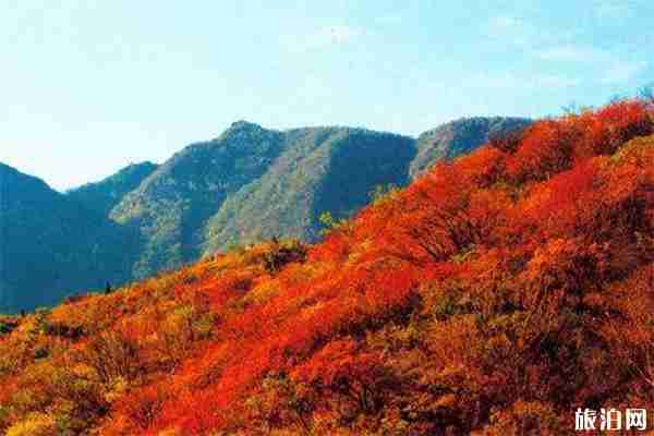 嵩山最佳游玩时间 嵩山节日表演有哪些 嵩山最佳游玩时间 嵩山节日表演有哪些