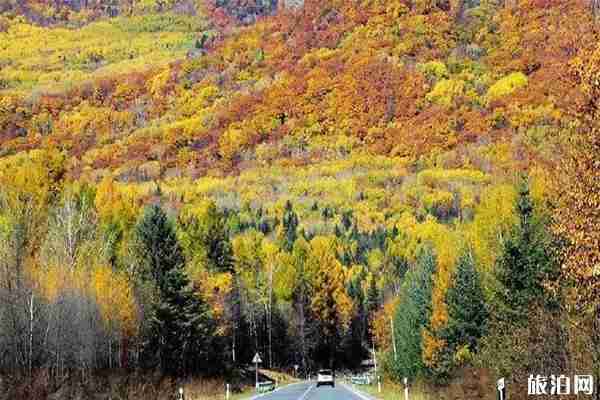 黑龍江秋天最美的地方 黑龍江賞秋地點(diǎn)推薦