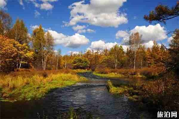 11月阿尔山下雪吗 11月阿尔山旅游攻略 11月阿尔山下雪吗 11月阿尔山旅游攻略