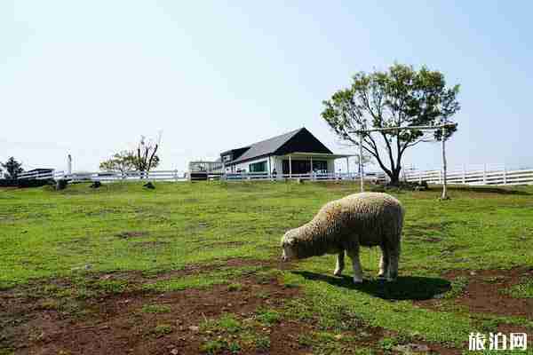 济州岛网红打卡地推荐