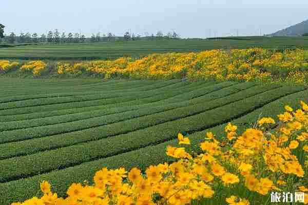 济州岛网红打卡地推荐