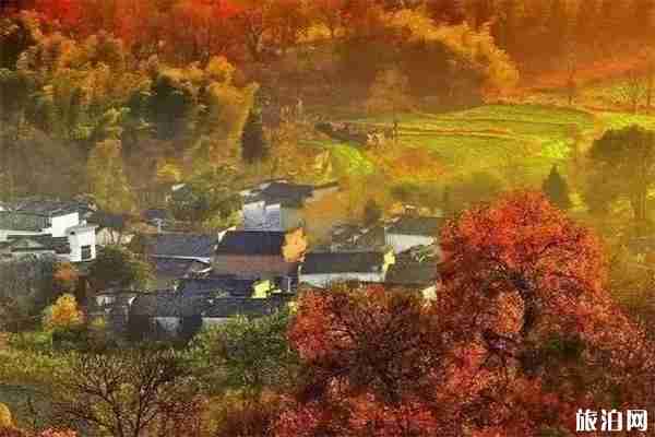 安徽适合赏秋的地方有哪些 安徽适合赏秋的地方有哪些