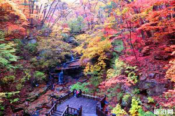 本溪赏秋自驾攻略 桓仁枫林谷+青山沟飞瀑涧 本溪赏秋自驾攻略 桓仁枫林谷+青山沟飞瀑涧