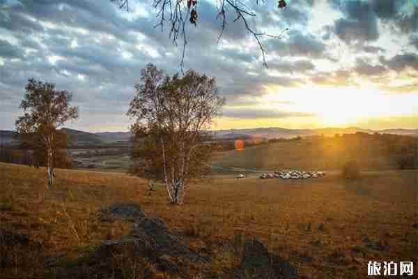 蛤蟆坝景区好玩吗 蛤蟆坝景区好玩吗
