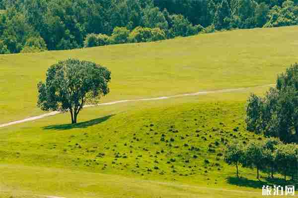蛤蟆坝景区好玩吗 蛤蟆坝景区好玩吗