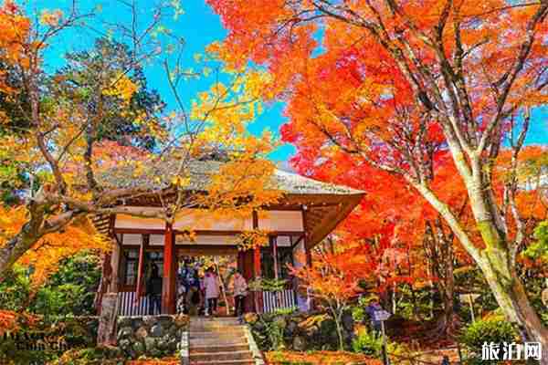 日本京都岚山一日游玩攻略 景点+交通+路线