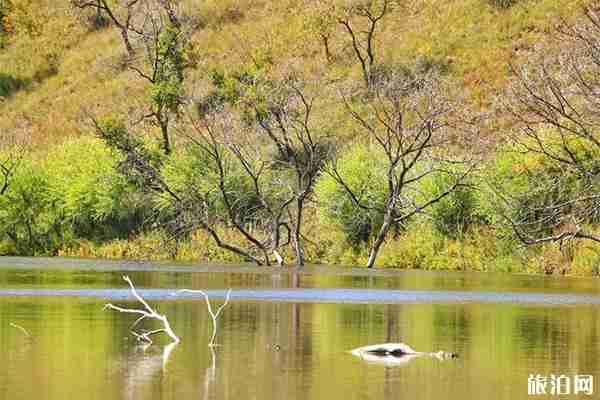 蛤蟆坝景区好玩吗 蛤蟆坝景区好玩吗