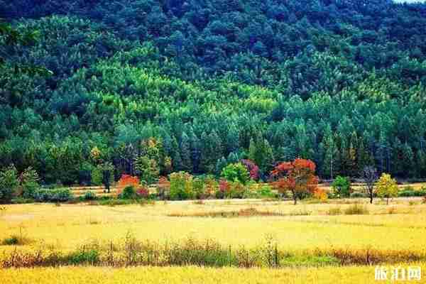 国庆节塔川秋色好看吗