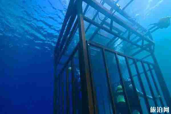 南非九月是什么季節 南非有什么好玩的