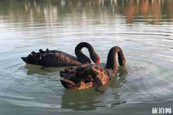 南昌網紅打卡景點有哪些