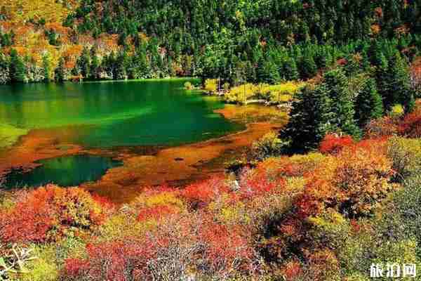 2019木格措國(guó)慶節(jié)有雪嗎+限流人數(shù)+開(kāi)放時(shí)間+門(mén)票 2019木格措國(guó)慶節(jié)有雪嗎+限流人數(shù)+開(kāi)放時(shí)間+門(mén)票