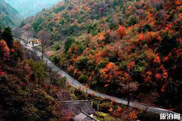 留壩秋天有什么好看的景色
