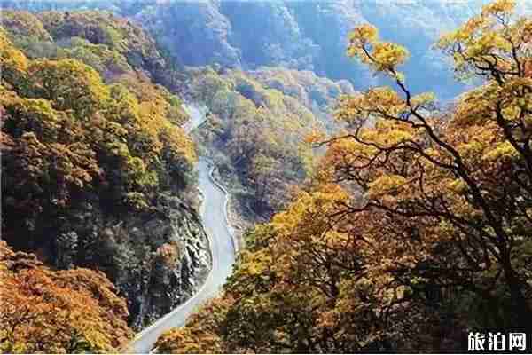 秋天安徽最美的地方推薦 秋天安徽最美的地方推薦