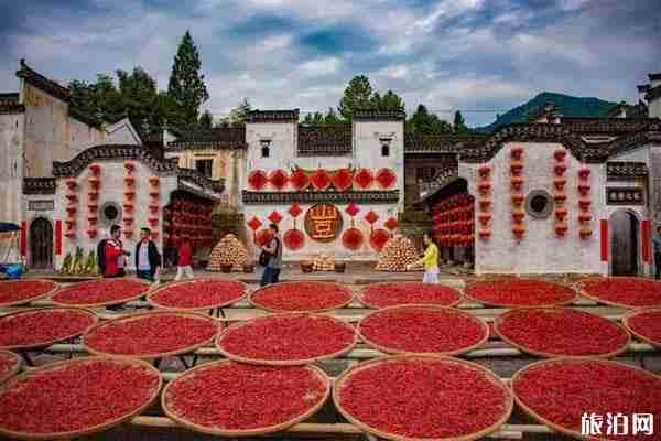 秋天安徽最美的地方推薦 秋天安徽最美的地方推薦