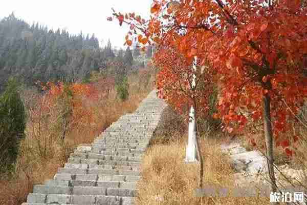 秋天安徽最美的地方推薦 秋天安徽最美的地方推薦