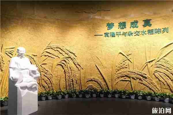 隆平水稻博物館開放時間+要門票嗎+博物館介紹