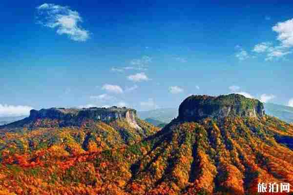 成都雙流哪里可以看紅葉的地方推薦