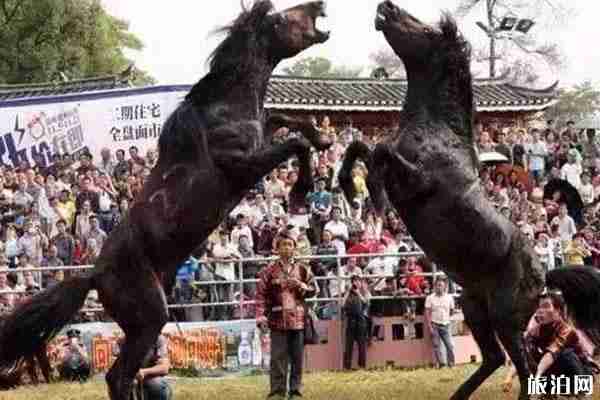 2019柳州國慶活動安排整合 2019柳州國慶活動安排整合