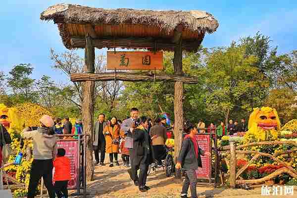 2019開封菊花展10月17日開幕 持續時間+活動內容+菊花門票 2019開封菊花展10月17日開幕 持續時間+活動內容+菊花門票